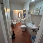 Rent 2 bedroom apartment of 40 m² in Pistoia