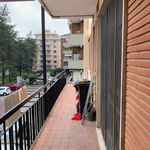 Rent 3 bedroom apartment of 80 m² in Novara