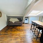 Rent 1 bedroom apartment of 17 m² in St Etienne