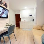 Rent 1 bedroom apartment in Bilbao