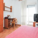 Rent 11 bedroom apartment in Granada