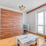 Rent 1 bedroom apartment of 22 m² in Karviná