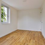 Rent 4 bedroom house of 130 m² in Hoogeloon