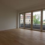 Miete 4 Schlafzimmer wohnung von 113 m² in Leipzig