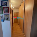 Rent 3 bedroom apartment of 56 m² in Orlova