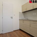 Rent 3 bedroom apartment of 48 m² in Brno