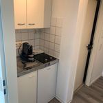 Rent 1 bedroom apartment of 27 m² in Magdeburg