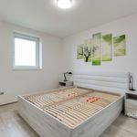 Pronajměte si 4 ložnic/e dům o rozloze 860 m² v Kutná Hora