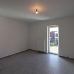 Rent 2 bedroom apartment in Puurs-Sint-Amands