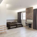 Rent 1 bedroom apartment in Roma