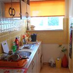 Rent 1 bedroom apartment of 22 m² in Rijeka