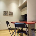 Rent 1 bedroom apartment of 49 m² in Torino