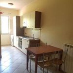 Affitto 2 camera appartamento in Frosinone