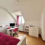 Rent 3 bedroom apartment of 150 m² in Sint-Pieters-Woluwe
