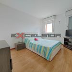Rent 2 bedroom apartment of 75 m² in Cavarzere
