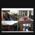 Alquilar 5 dormitorio apartamento en Palma de Mallorca