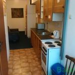 Rent 1 bedroom apartment of 14 m² in Brno