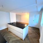 Huur 4 slaapkamer appartement van 105 m² in Haarlem