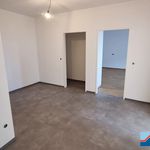 Rent 3 bedroom apartment of 84 m² in Gallneukirchen