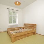 Rent 1 bedroom apartment of 67 m² in Liberec
