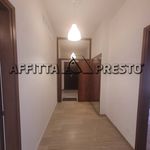 Affitto 5 camera casa di 120 m² in Bertinoro