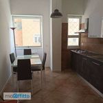 Rent 4 bedroom apartment of 120 m² in Rome