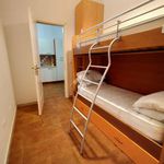 Rent 3 bedroom apartment of 60 m² in Terracina