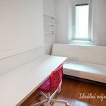 Rent 3 bedroom apartment in Brno