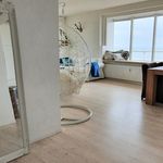 Rent 2 bedroom apartment of 70 m² in Zandvoort