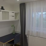 Miete 2 Schlafzimmer wohnung von 35 m² in Heidelberg
