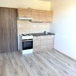 Rent 1 bedroom apartment of 17 m² in Kladno