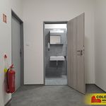 Rent 1 bedroom apartment of 52 m² in Adamov