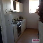 Rent 4 bedroom apartment of 110 m² in Vicenza
