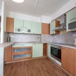 Rent 2 bedroom apartment of 58 m² in Benešov