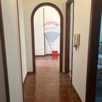 Affitto 4 camera appartamento di 118 m² in Palermo