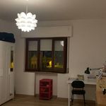 Affitto 4 camera appartamento di 100 m² in Catanzaro