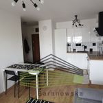 Rent 2 bedroom apartment of 33 m² in Gorzów Wielkopolski