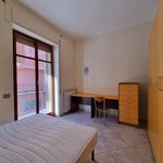 Affitto 2 camera appartamento di 96 m² in Catanzaro