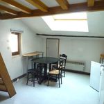 Rent 1 bedroom apartment of 18 m² in GRENOBLE