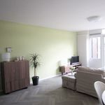 Rent 4 bedroom apartment in Eindhoven