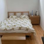 Rent a room of 50 m² in brussels