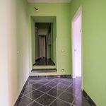 Affitto 3 camera appartamento di 60 m² in Frascati