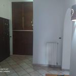 Affitto 3 camera appartamento di 65 m² in Ciampino