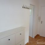Rent 3 bedroom apartment of 60 m² in Wolfsburg