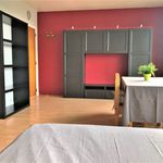 Huur 1 slaapkamer appartement van 40 m² in Arlon