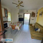 Rent 3 bedroom apartment of 55 m² in Mandatoriccio
