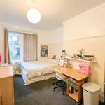 Rent 7 bedroom flat in Sheffield