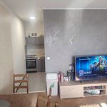 Rent 1 bedroom apartment of 47 m² in Brno