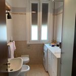 Rent 4 bedroom apartment of 80 m² in Poggibonsi