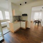 Rent 2 bedroom house of 52 m² in Budapest
